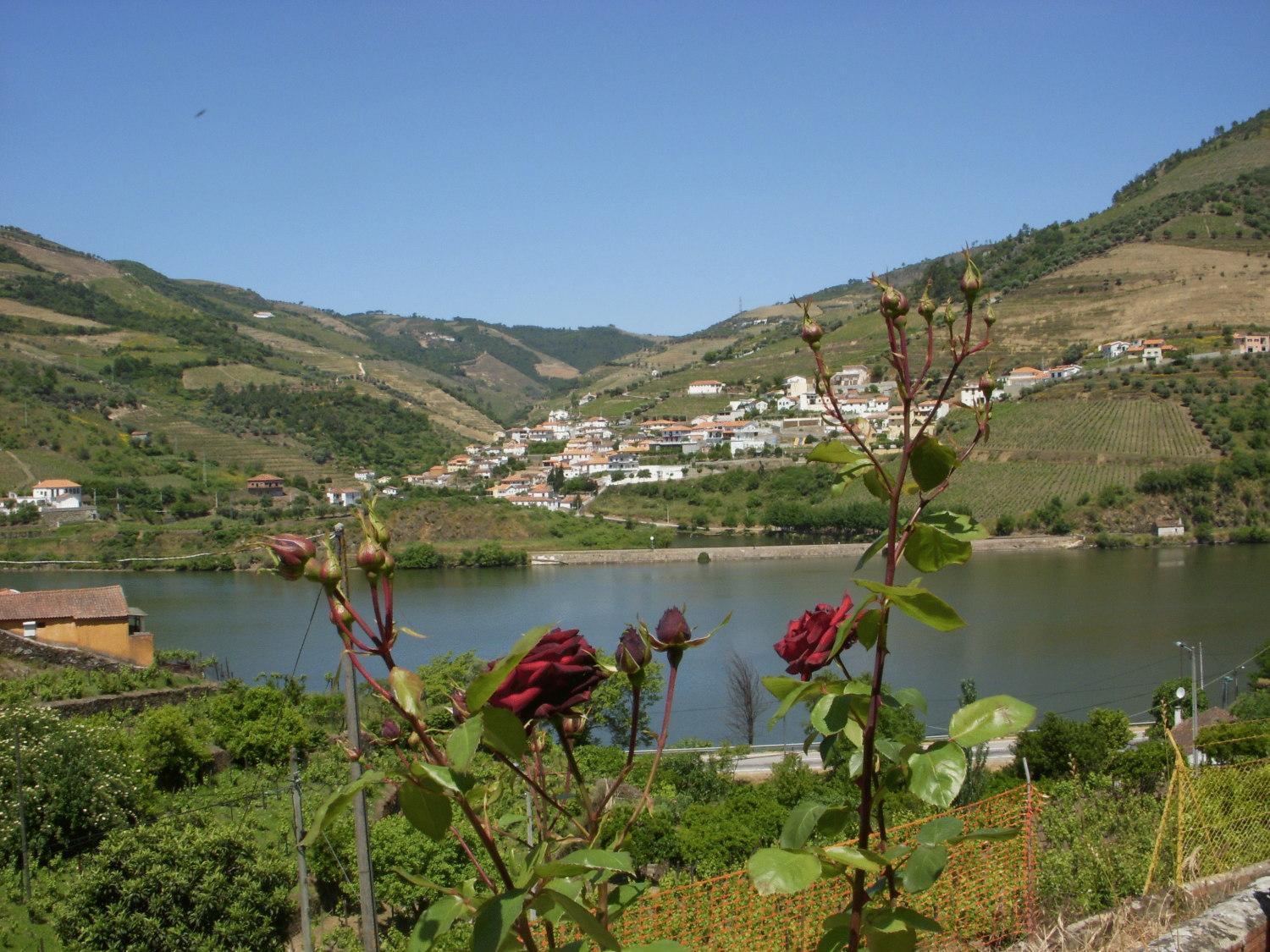 מלון Folgosa  Quinta Da Azenha מראה חיצוני תמונה